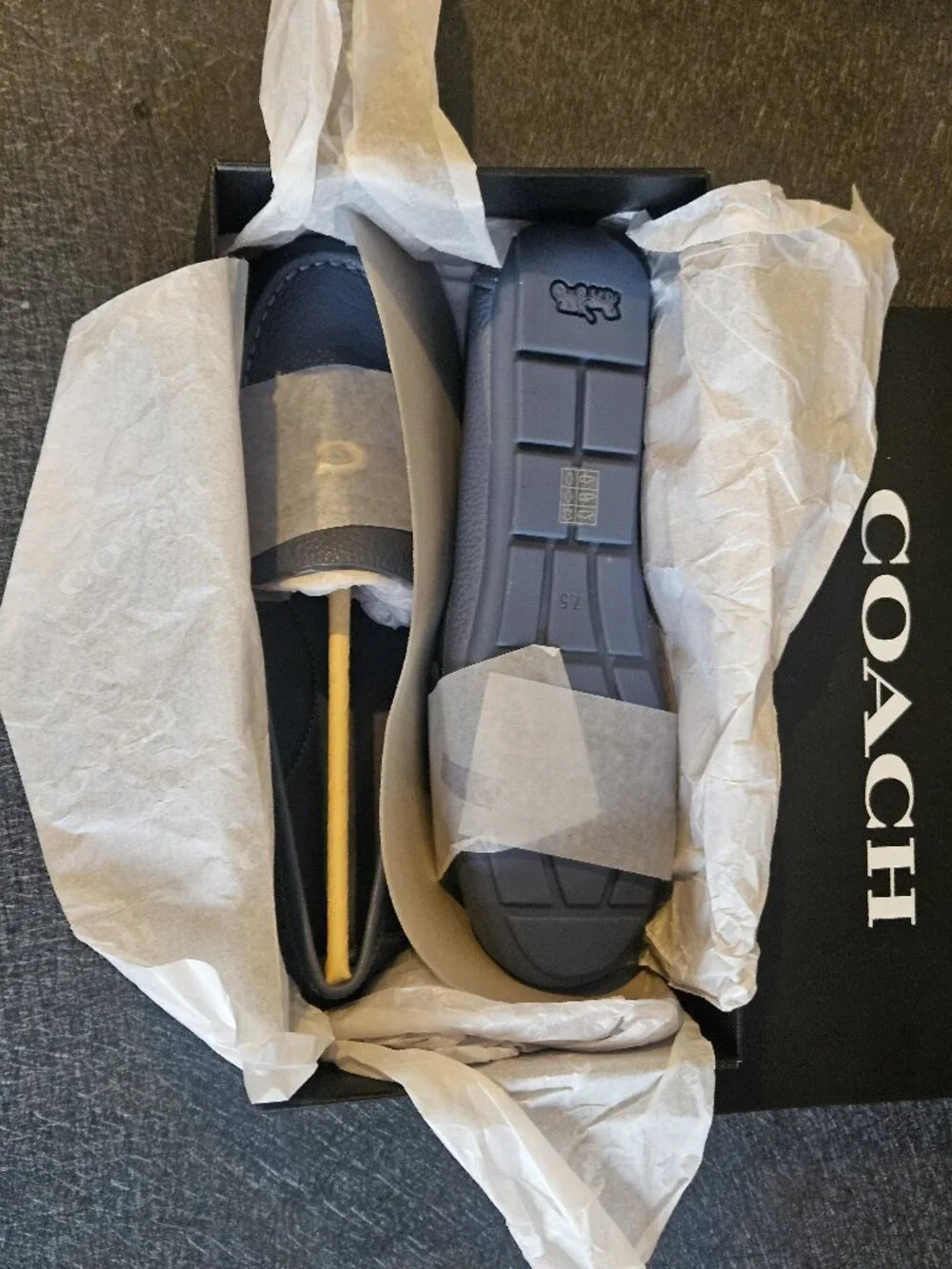 COACH Sculpted C Driver in Light Denim - NWT - Picture 4 of 10